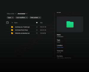 Amaleaked - SnapWins — Leaks